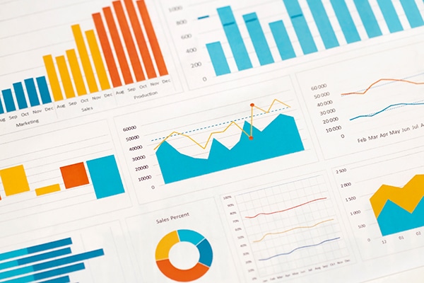 Site Audit with Charts for SEO